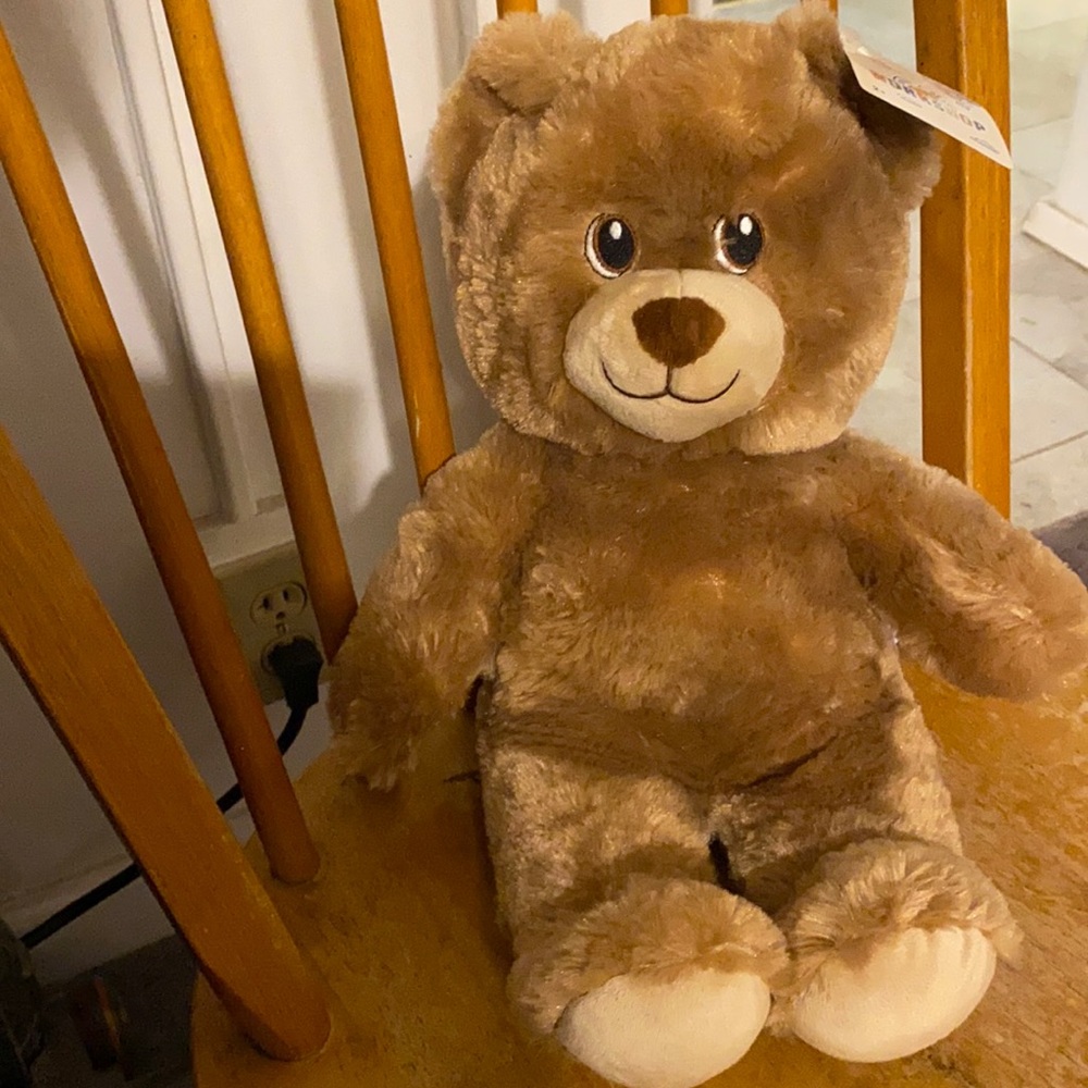 Build-A-Bear Lil Brownie - S&C